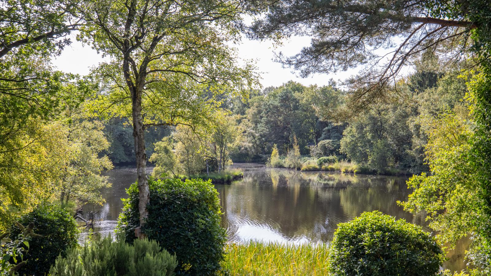 HasseBassie - View in summer