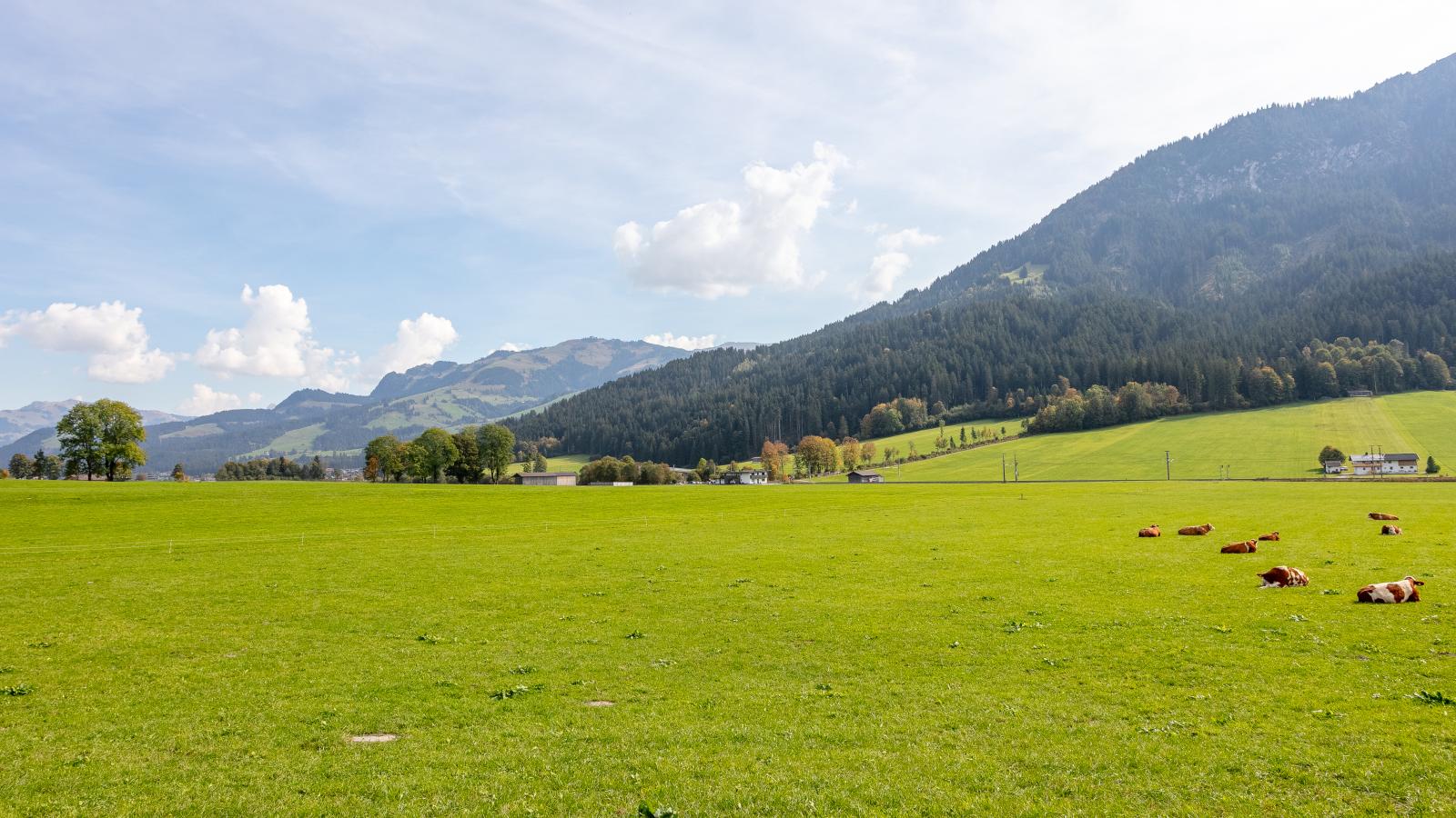Bräuhof - Areas within 20km in summer