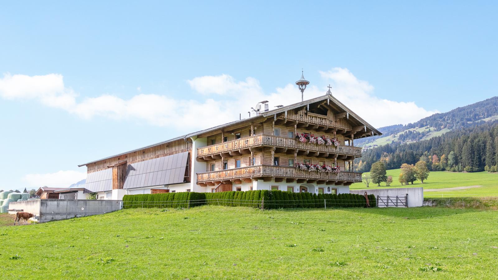 Bräuhof - Exterior in summer