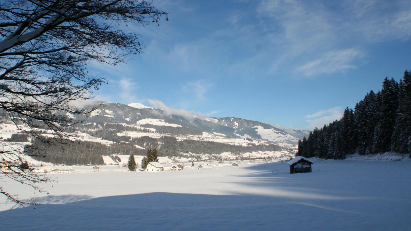 Oase von Ruhe - Uitzicht winter