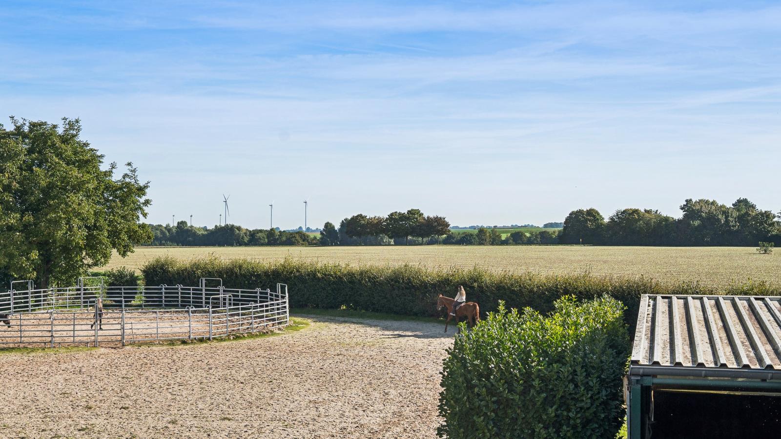 Am Pferdehof II - Tuinen zomer
