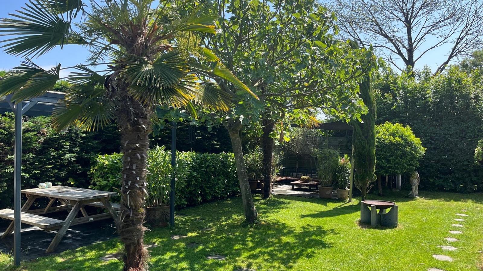 Lounge en Relax - Jardins en été