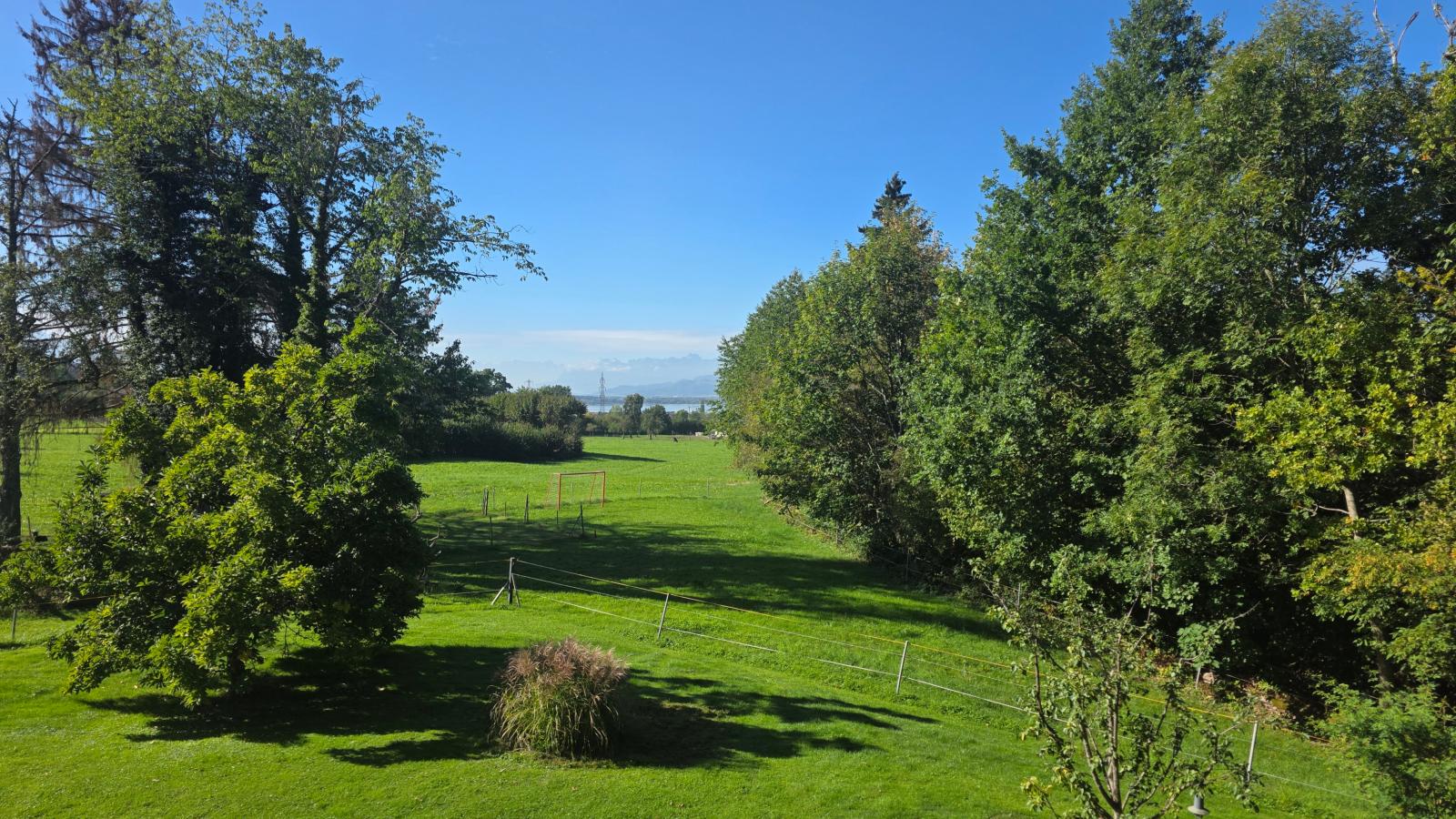Haus Sophie - Jardins en été