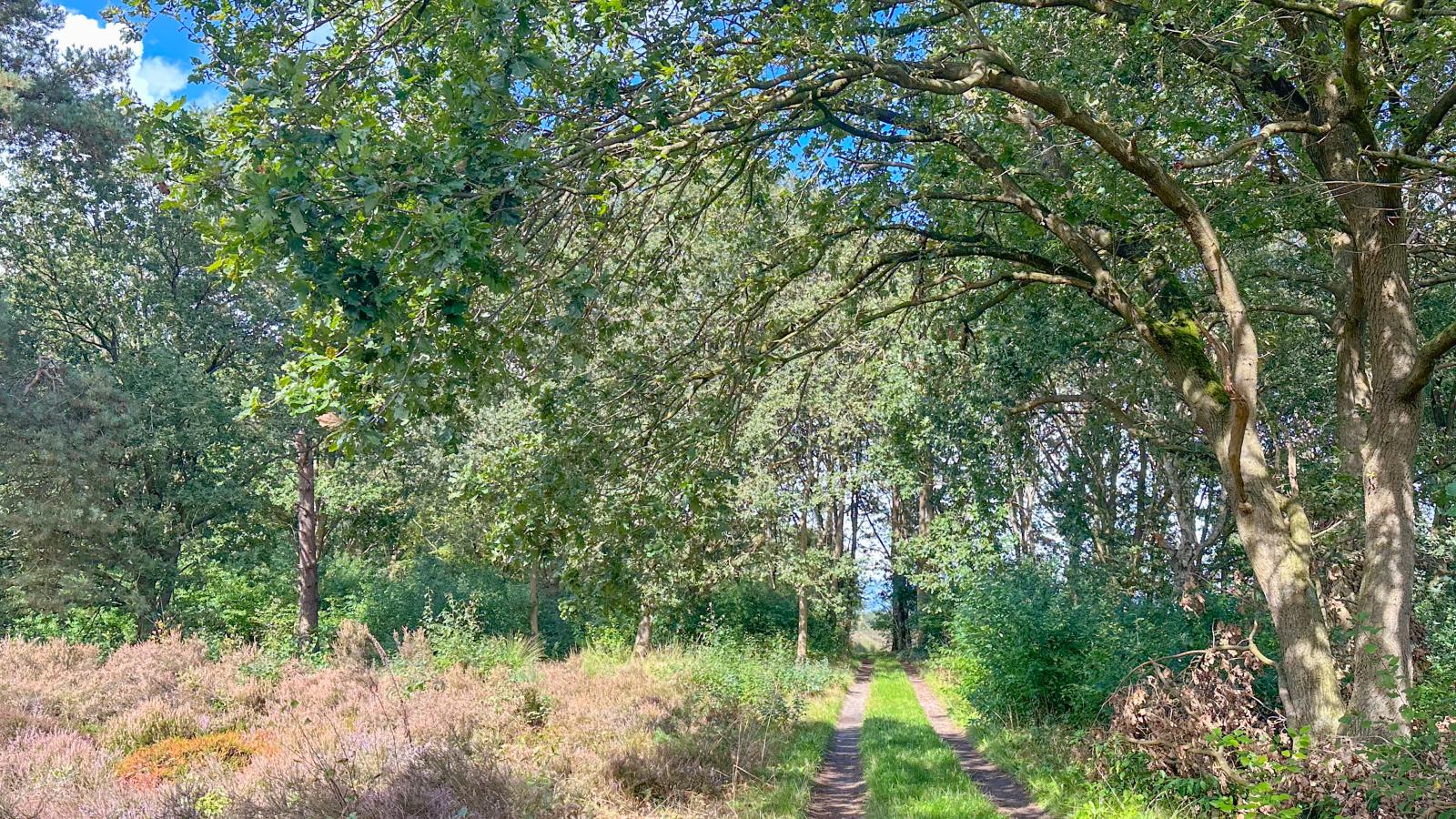 Wildenberg - Zones été à 5 km