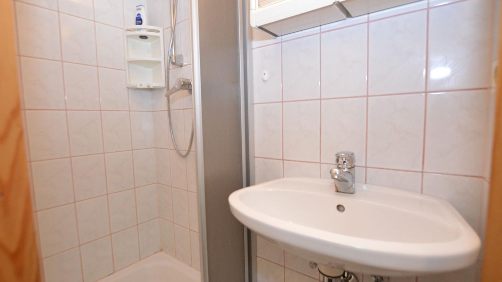 Hirscheck Ferienhaus 1 - Badkamer