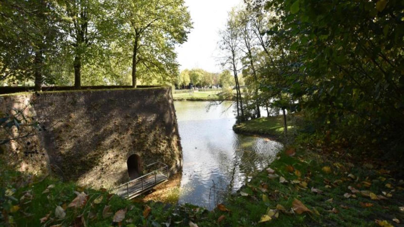 De Bonte Kat - Gebieden zomer 1km