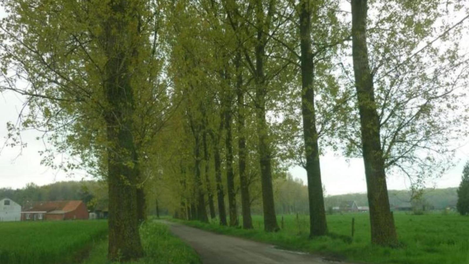 De Bonte Kat - Gebieden zomer 5km