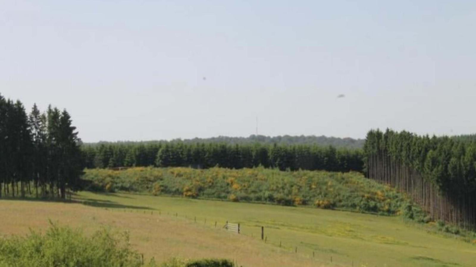 De Bonte Kat - Gebieden zomer 20km