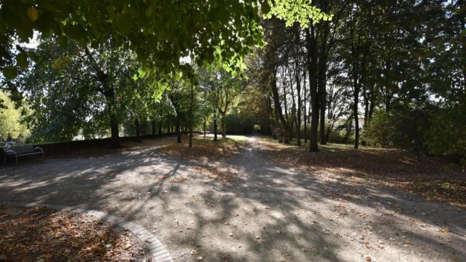 De Bonte Kat - Gebieden zomer 1km