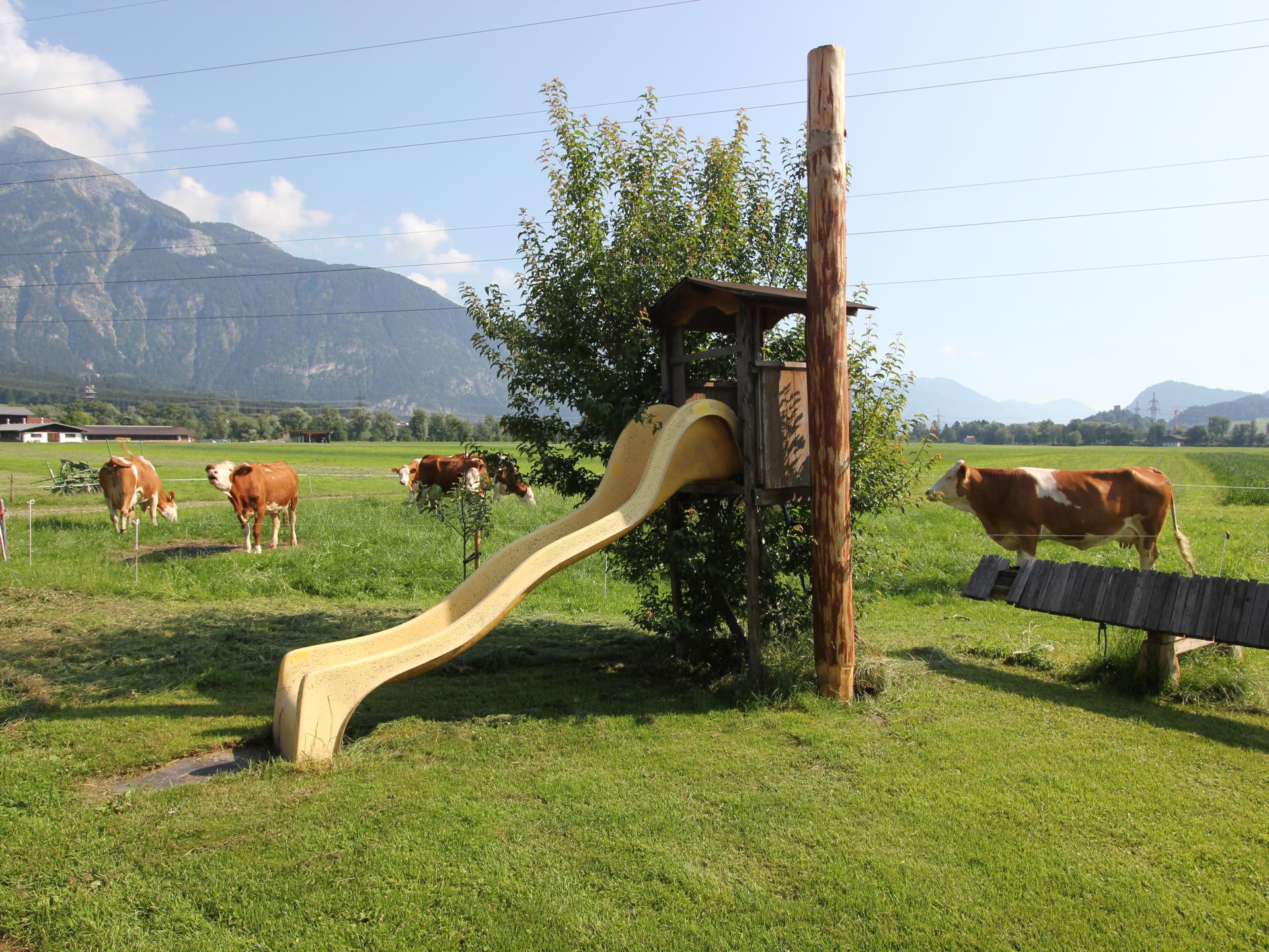 Vrijstaand vakantiehuis op biologische boerderij in het Zillertal - foto 29