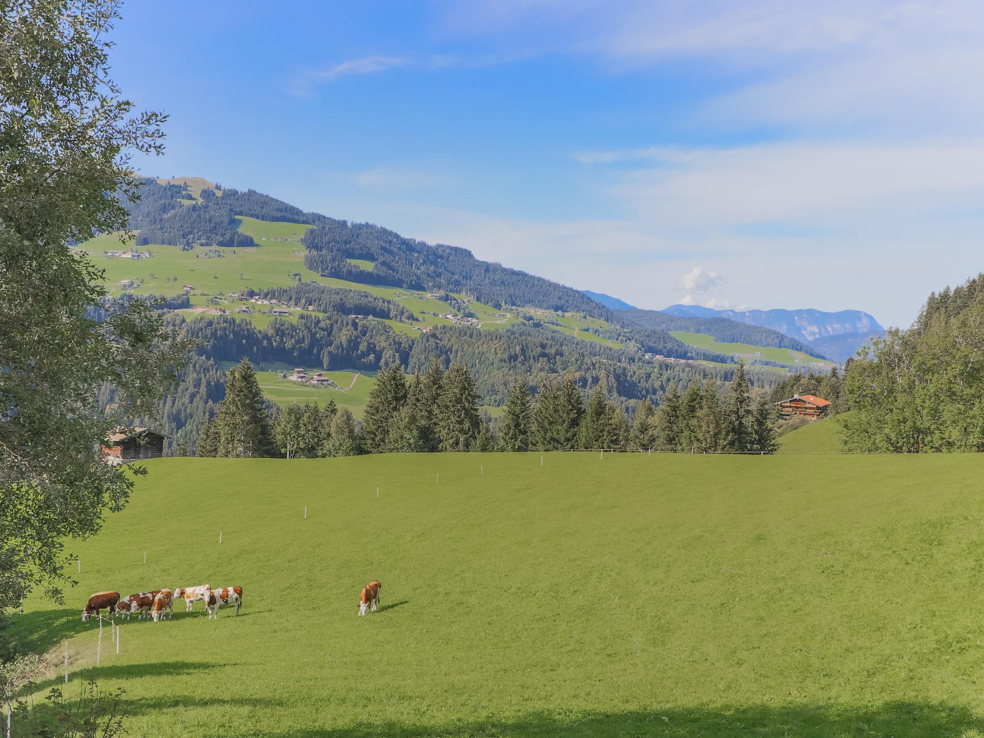 Appartement met panoramisch bergzicht in Hopfgarten | 8 personen - foto 14