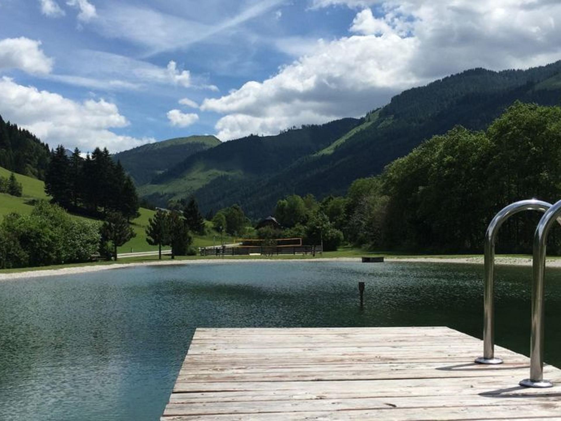 Vrijstaand chalet met sauna en houtkachel direct aan de skipiste in Donnersbachwald - foto 35