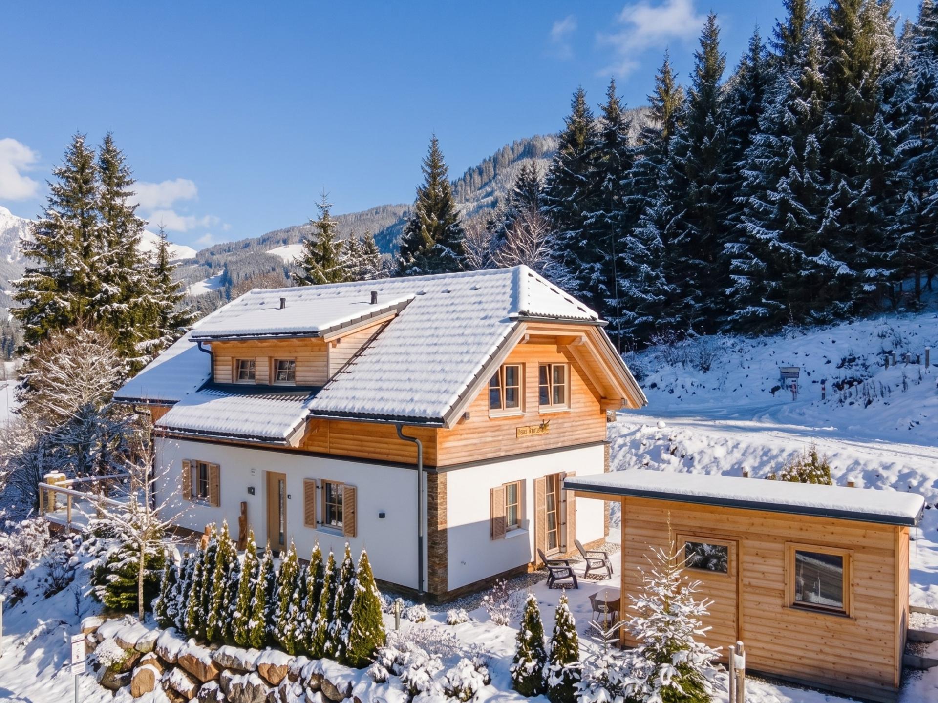Vrijstaand chalet met sauna en houtkachel direct aan de skipiste in Donnersbachwald - foto 41