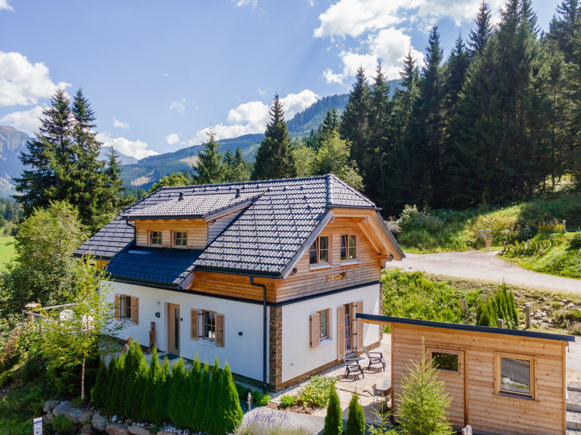 Vrijstaand chalet met sauna en houtkachel direct aan de skipiste in Donnersbachwald - foto 1