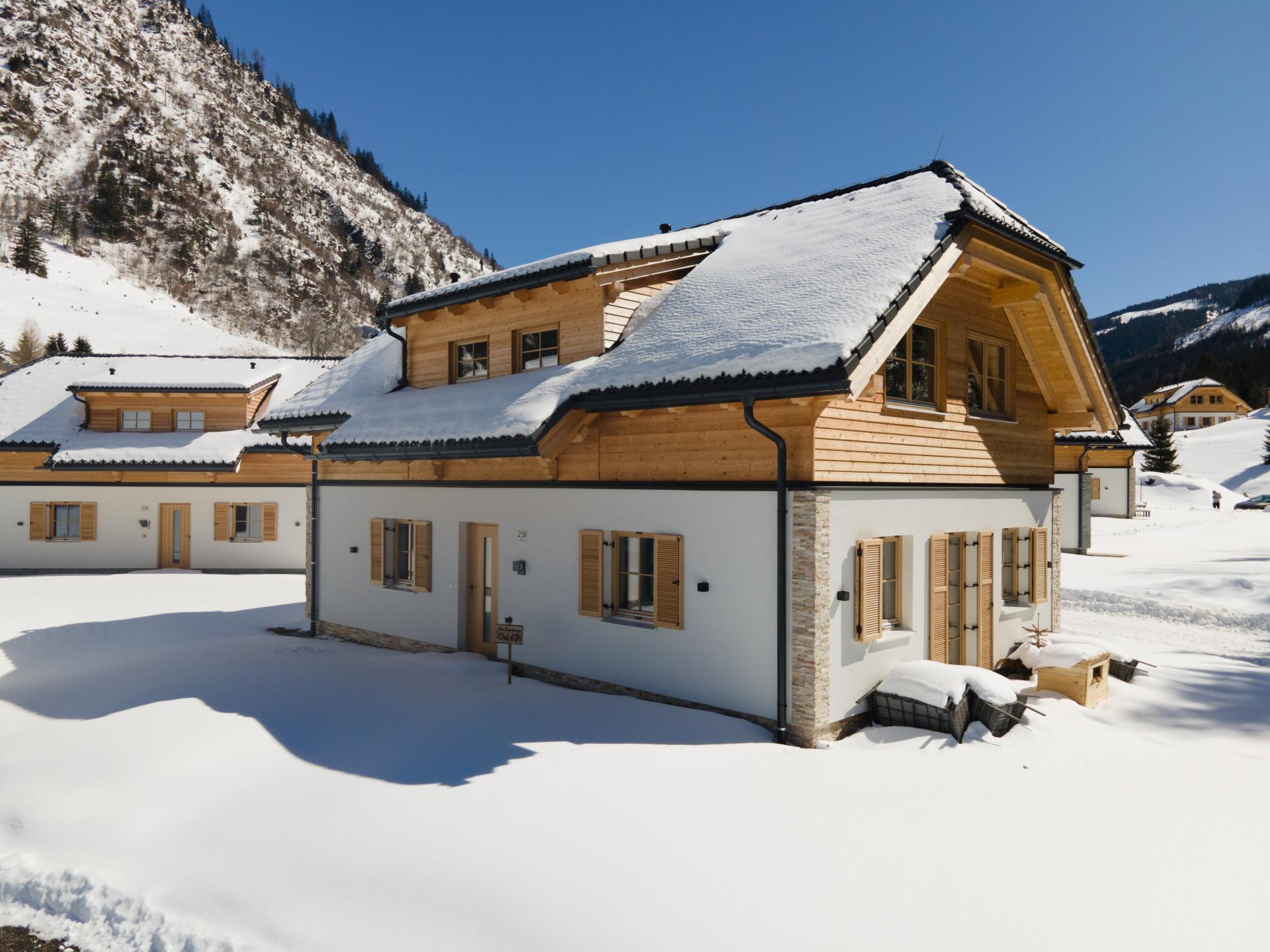 Luxe chalet met sauna en hottub op 50m van de skilift in Steiermark - foto 29