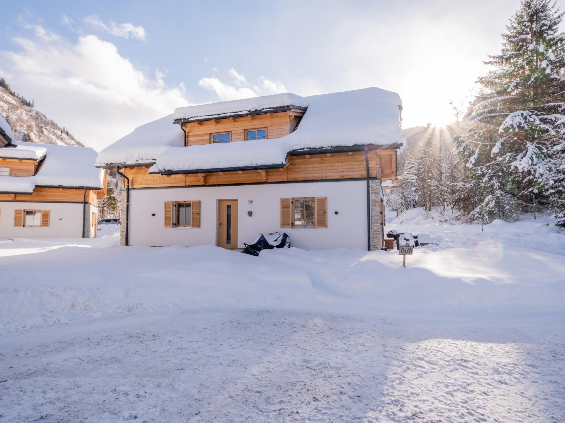 Luxe chalet met sauna en hottub op 50m van de skilift in Steiermark - foto 30