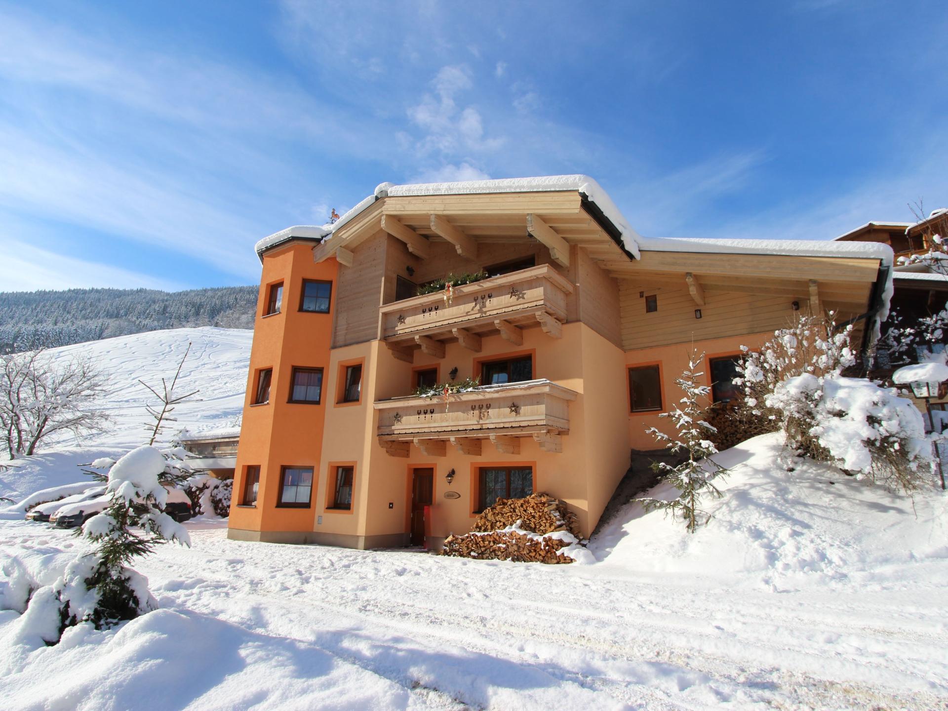 Ruim chalet voor 22 personen direct aan de piste met eigen sauna - foto 31