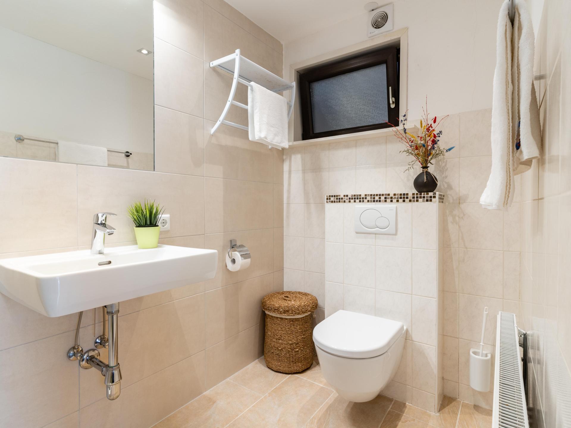 Ruim appartement direct aan de piste in Saalbach-Hinterglemm voor 10 personen - foto 12