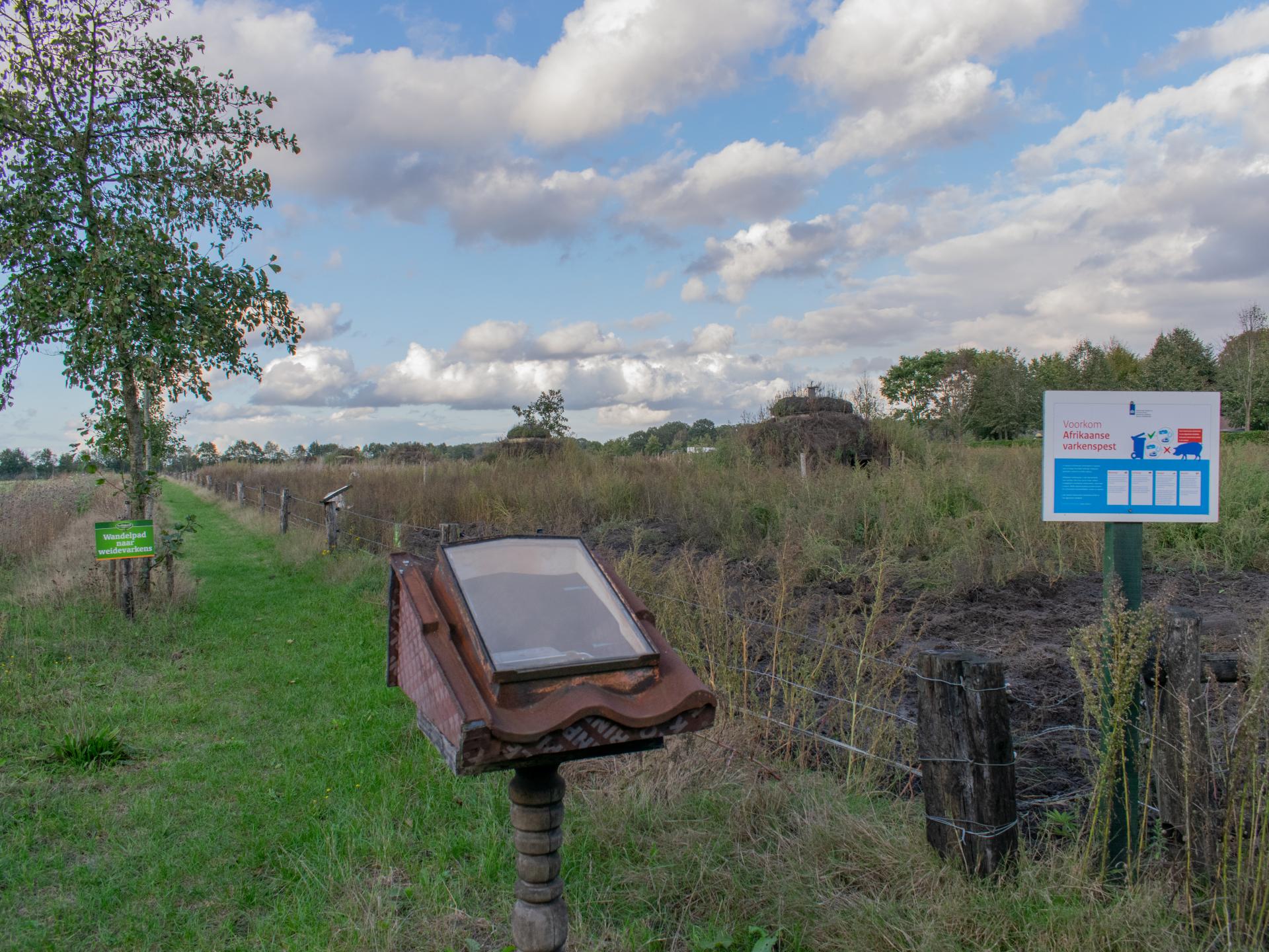 Luxe vrijstaande boerderijvilla met hottub, 12 pers., hottub, Efteling dichtbij - foto 42