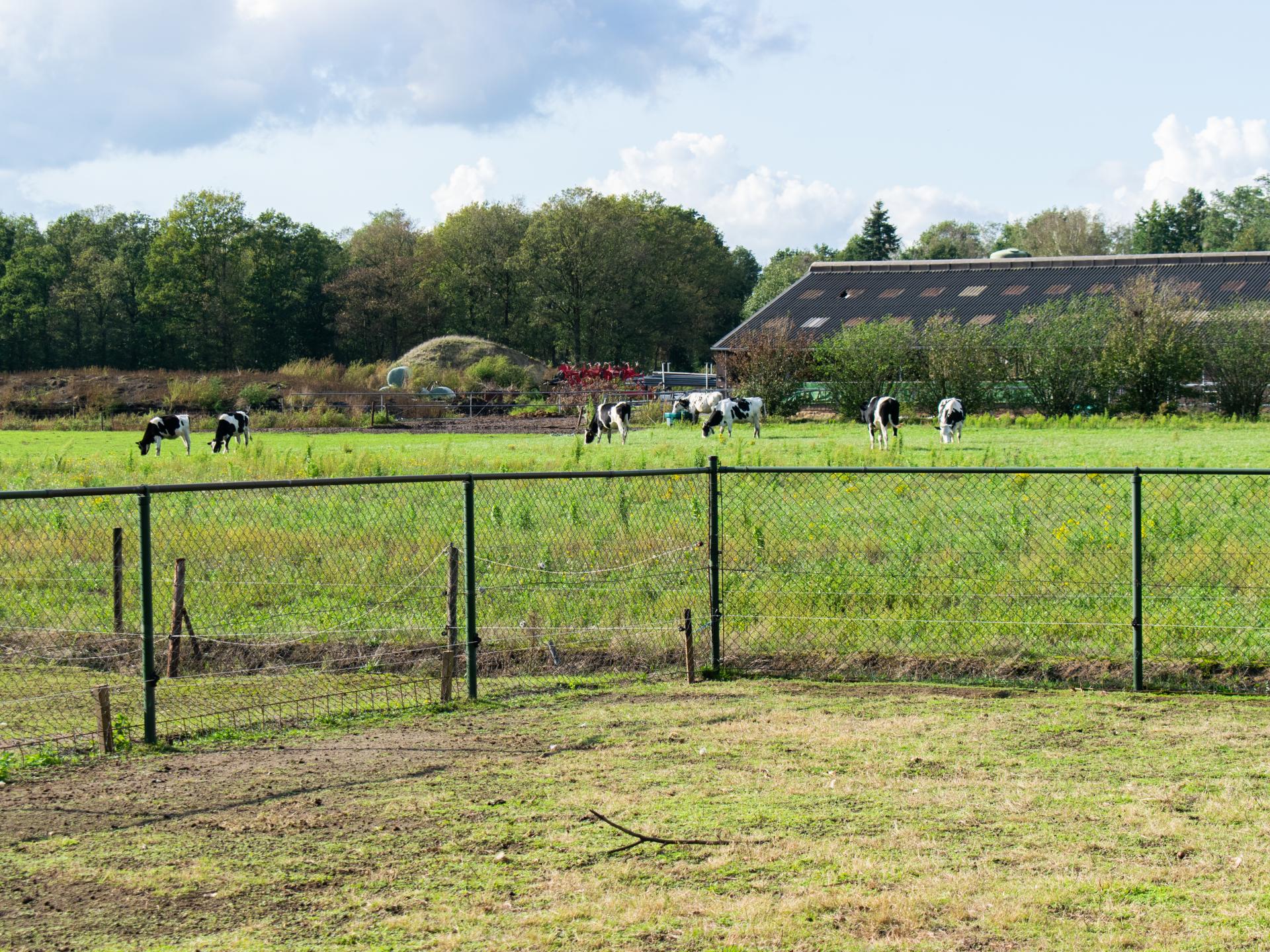Luxe vrijstaande boerderijvilla met hottub, 12 pers., hottub, Efteling dichtbij - foto 38