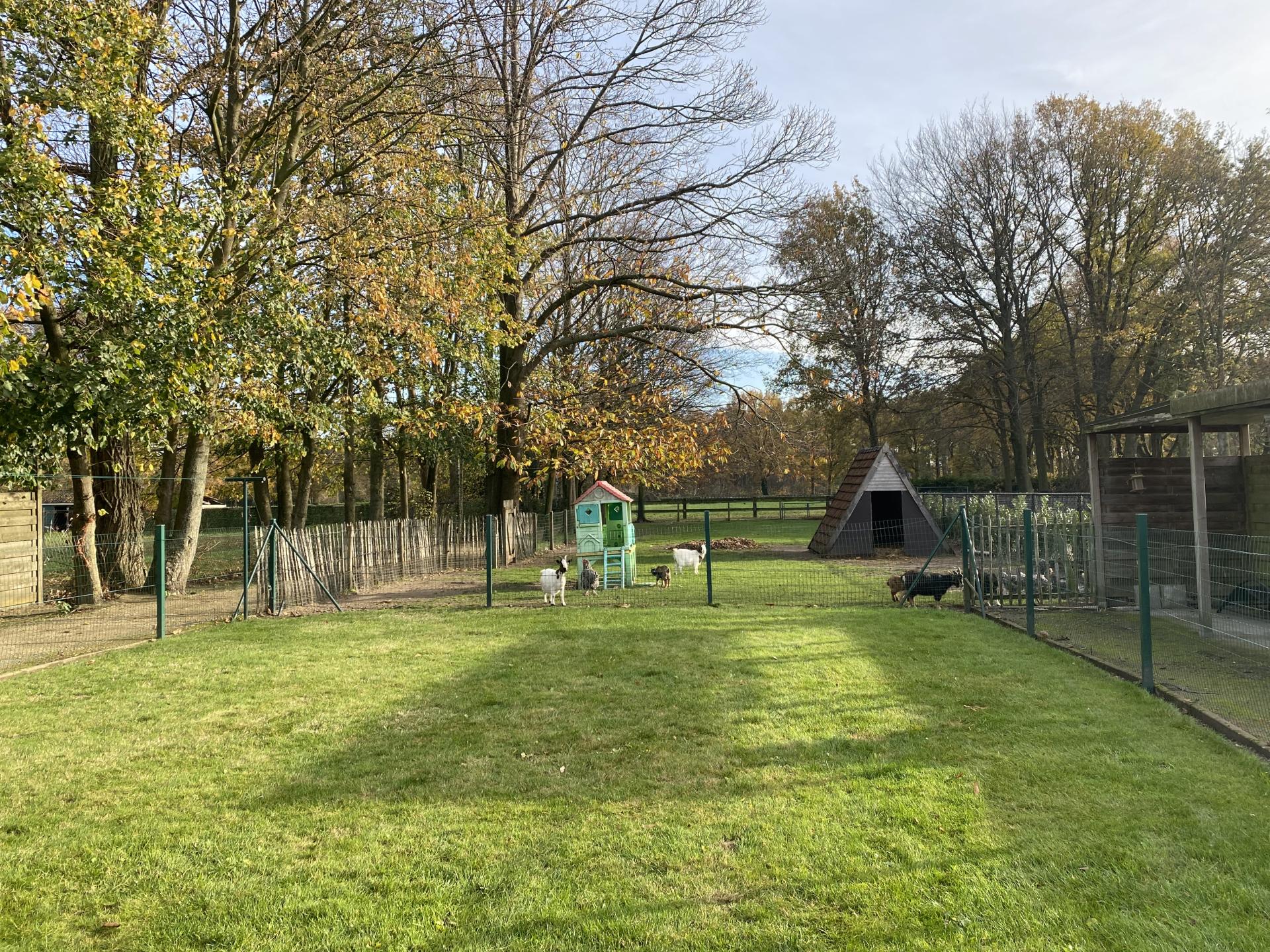 Landelijk groepsverblijf voor 20 personen met grote tuin en garage in Peer - foto 12