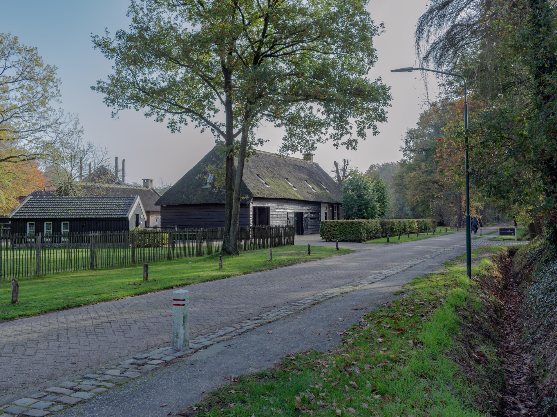 Rietgedekte boerderij aan bosrand bij Breda – luxe groepsaccommodatie voor 12 personen - foto 28