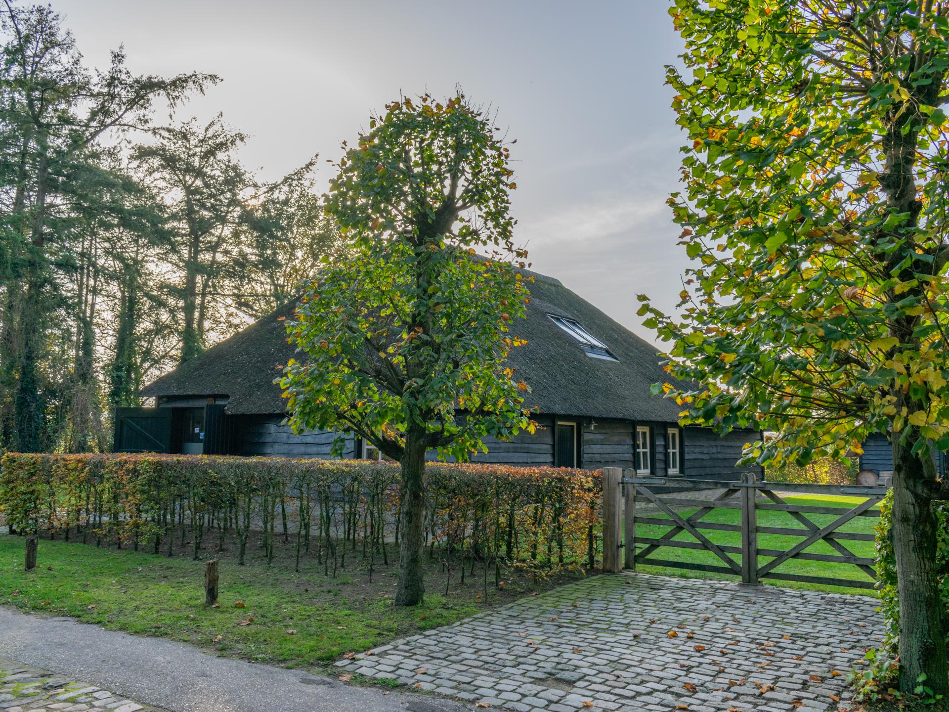 Vrijstaand vakantiehuis aan de bosrand in Ulvenhout voor 8 personen - foto 28