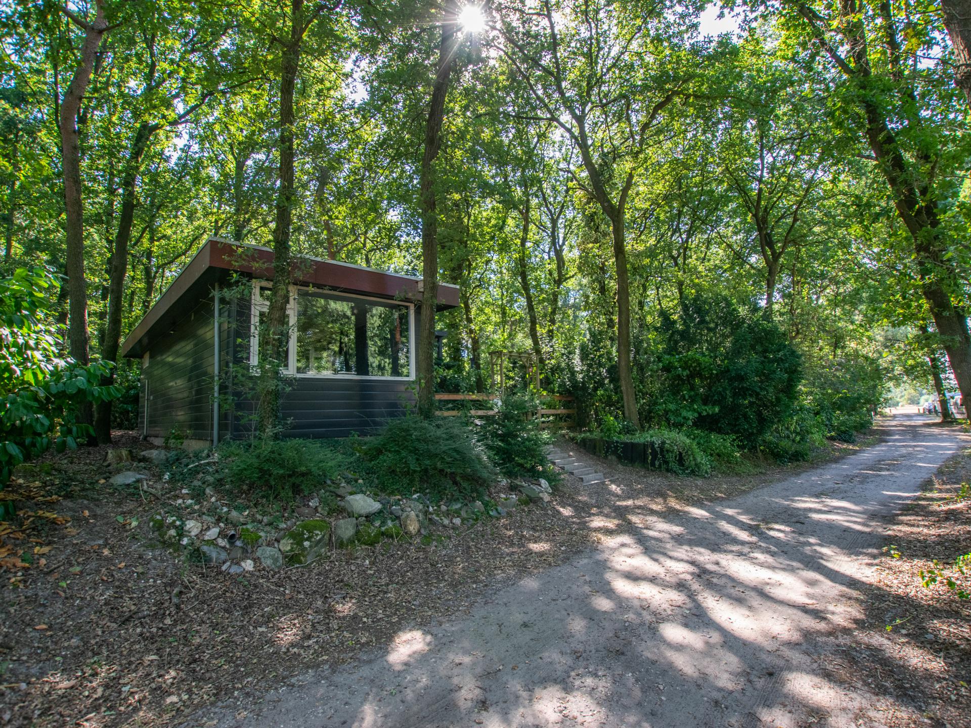 Romantisch boshuis met sauna en uitzicht over de Maashorst - foto 25