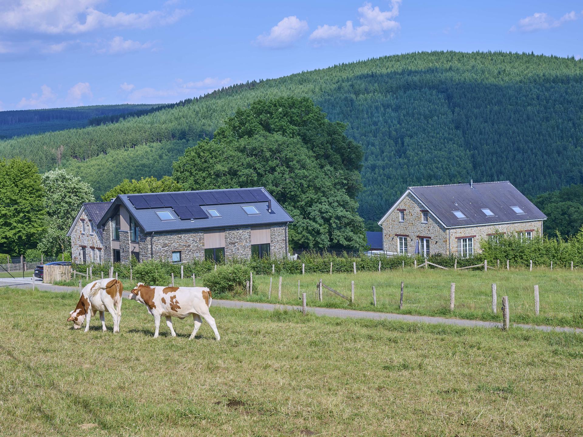 12-persoons vakantiehuis in Lierneux met open haard en tuin - foto 40