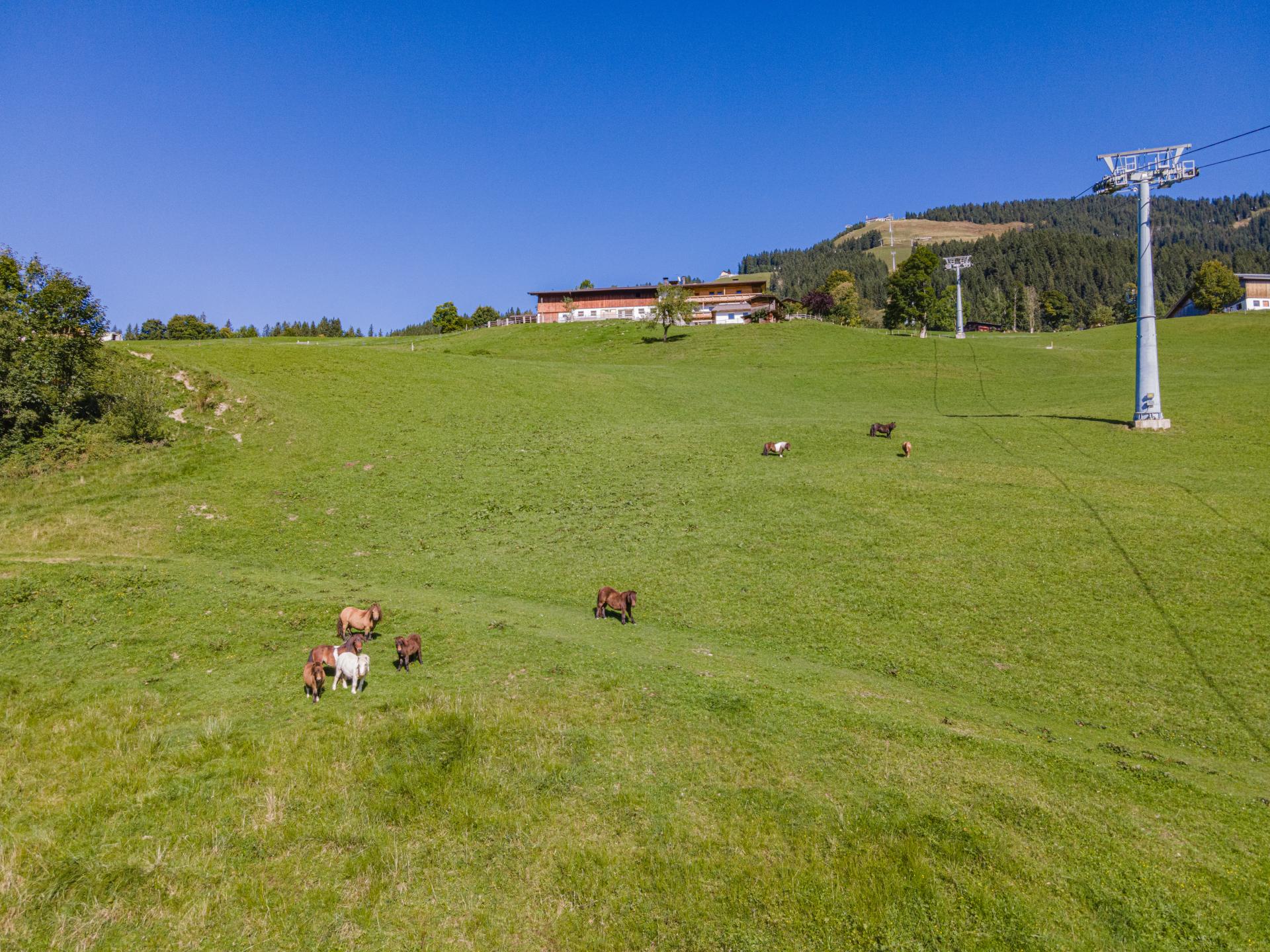 Ruim appartement direct aan de piste in Westendorf - foto 16
