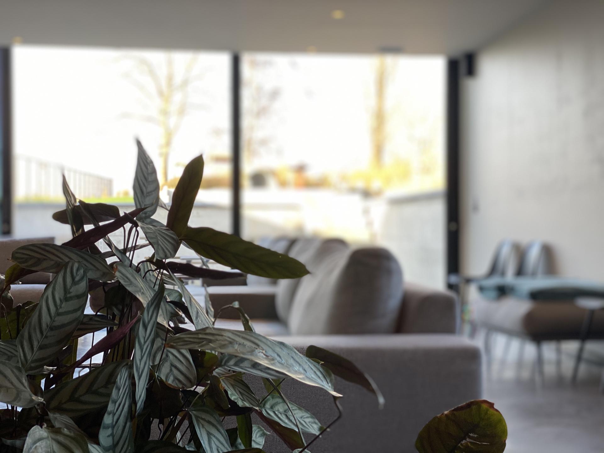 Luxe groepswoning met wellness en tuin - foto 47