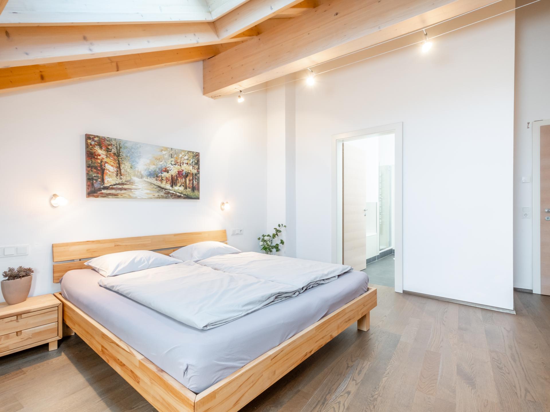 6-persoons luxe penthouse aan de piste in Viehhofen - foto 5