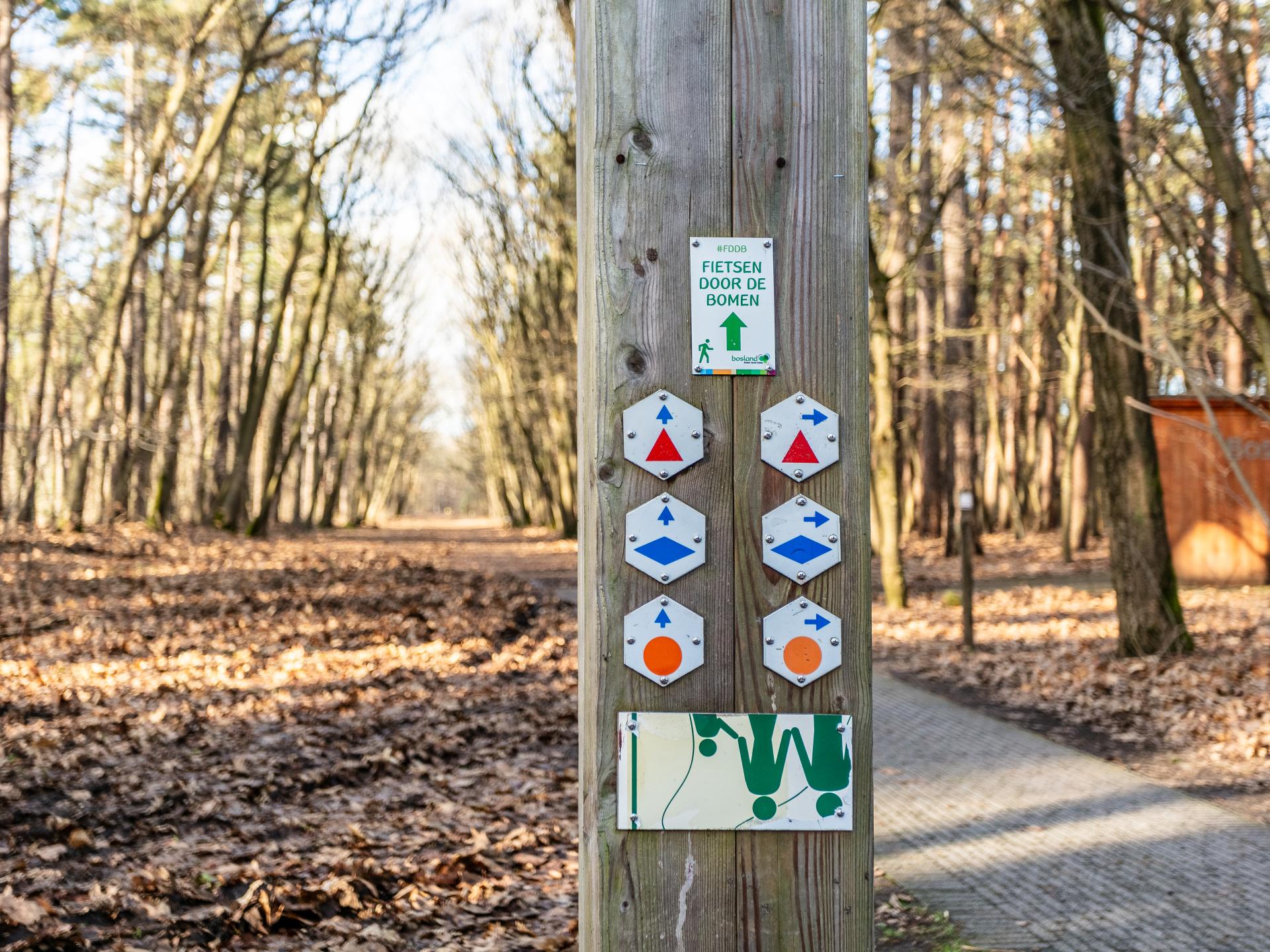 Groepshuis voor 24 personen aan de rand van het bos in Hechtel-Eksel - foto 68