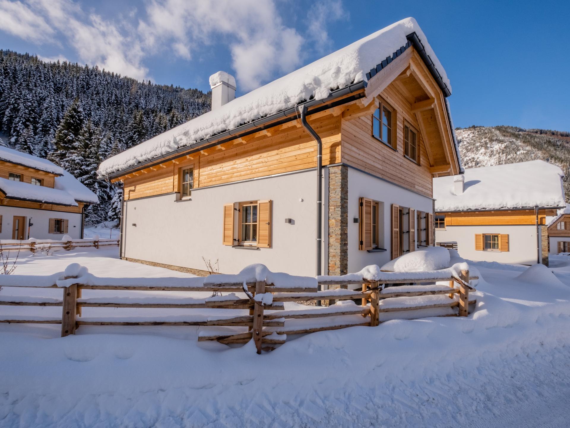 Vrijstaand chalet in Donnersbachwald direct aan de piste - foto 35
