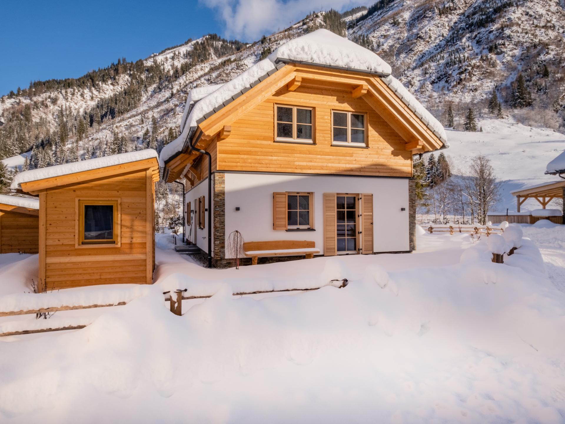 Vrijstaand chalet in Donnersbachwald direct aan de piste - foto 29