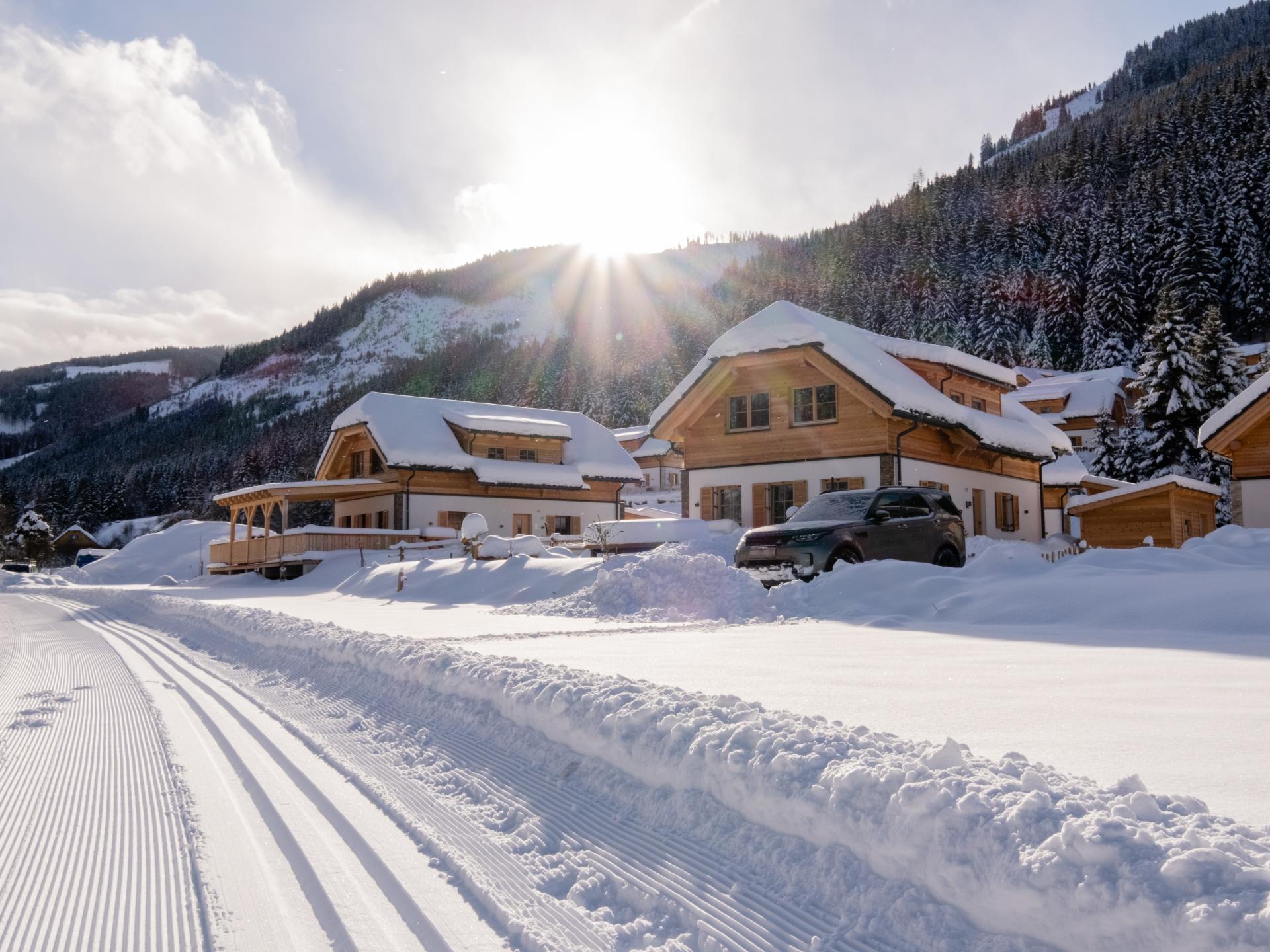 Vrijstaand chalet in Donnersbachwald direct aan de piste - foto 30