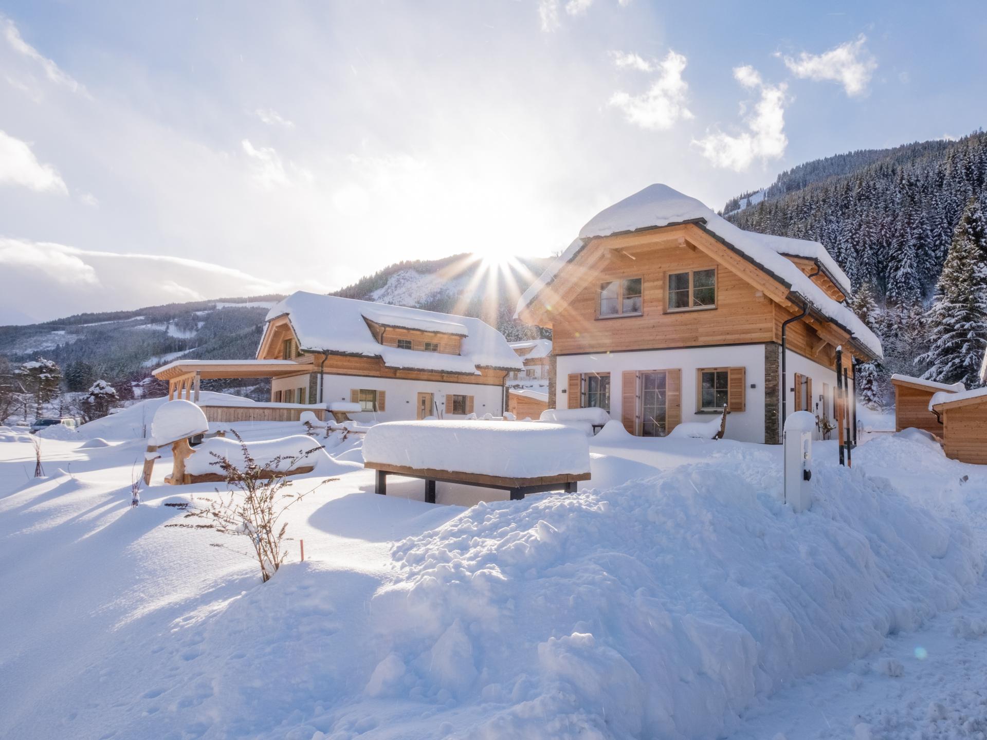 Vrijstaand chalet in Donnersbachwald direct aan de piste - foto 28