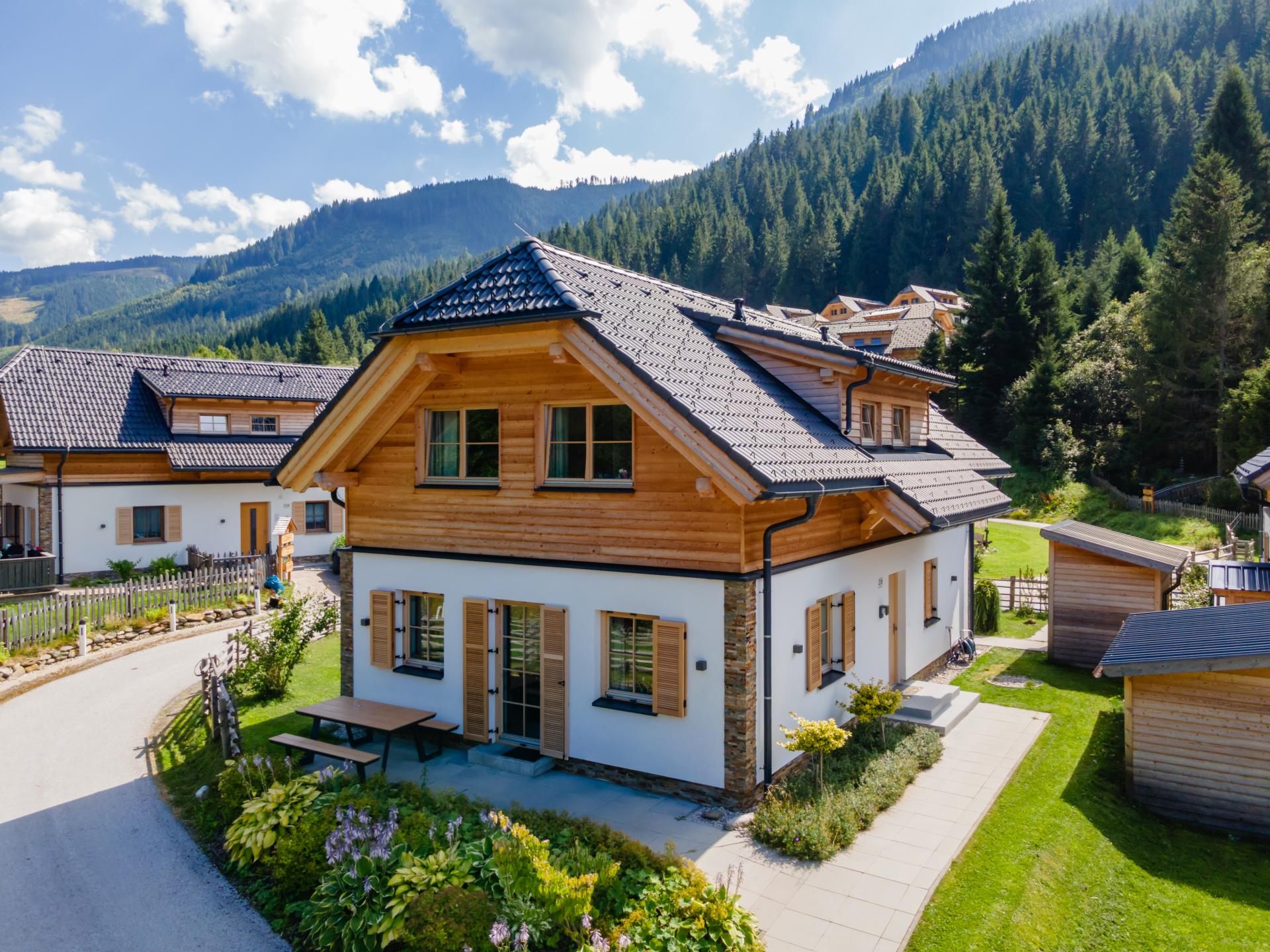 Vrijstaand chalet in Donnersbachwald direct aan de piste - foto 27