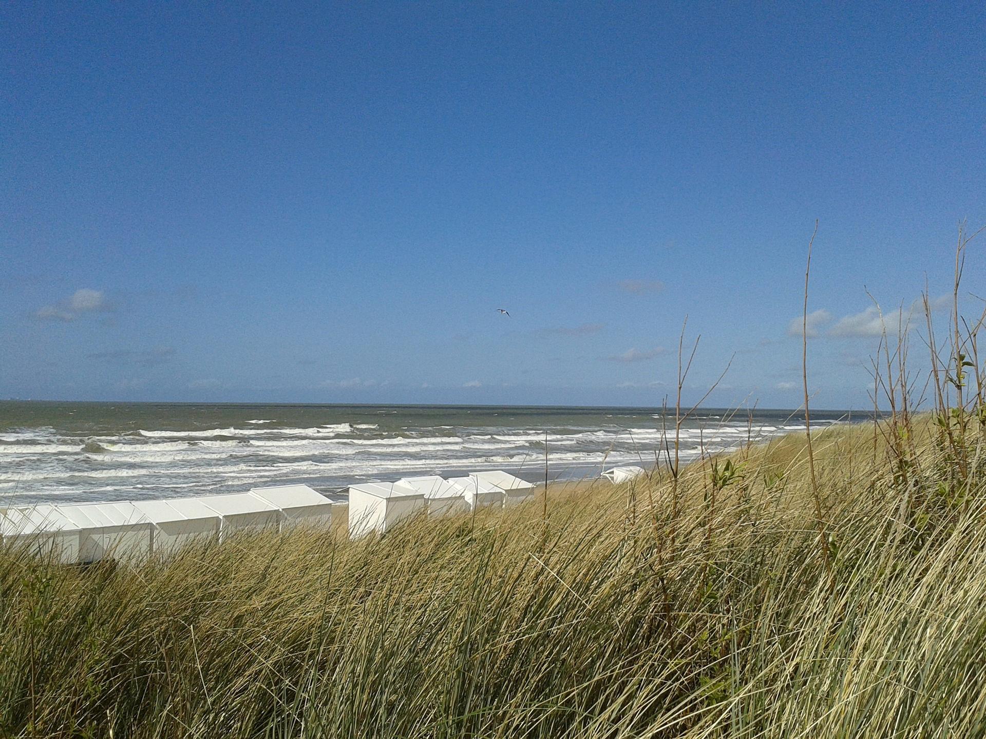 Ruime villa voor 20 personen met sauna en tuin, op 1 km van het strand in De Haan - foto 29