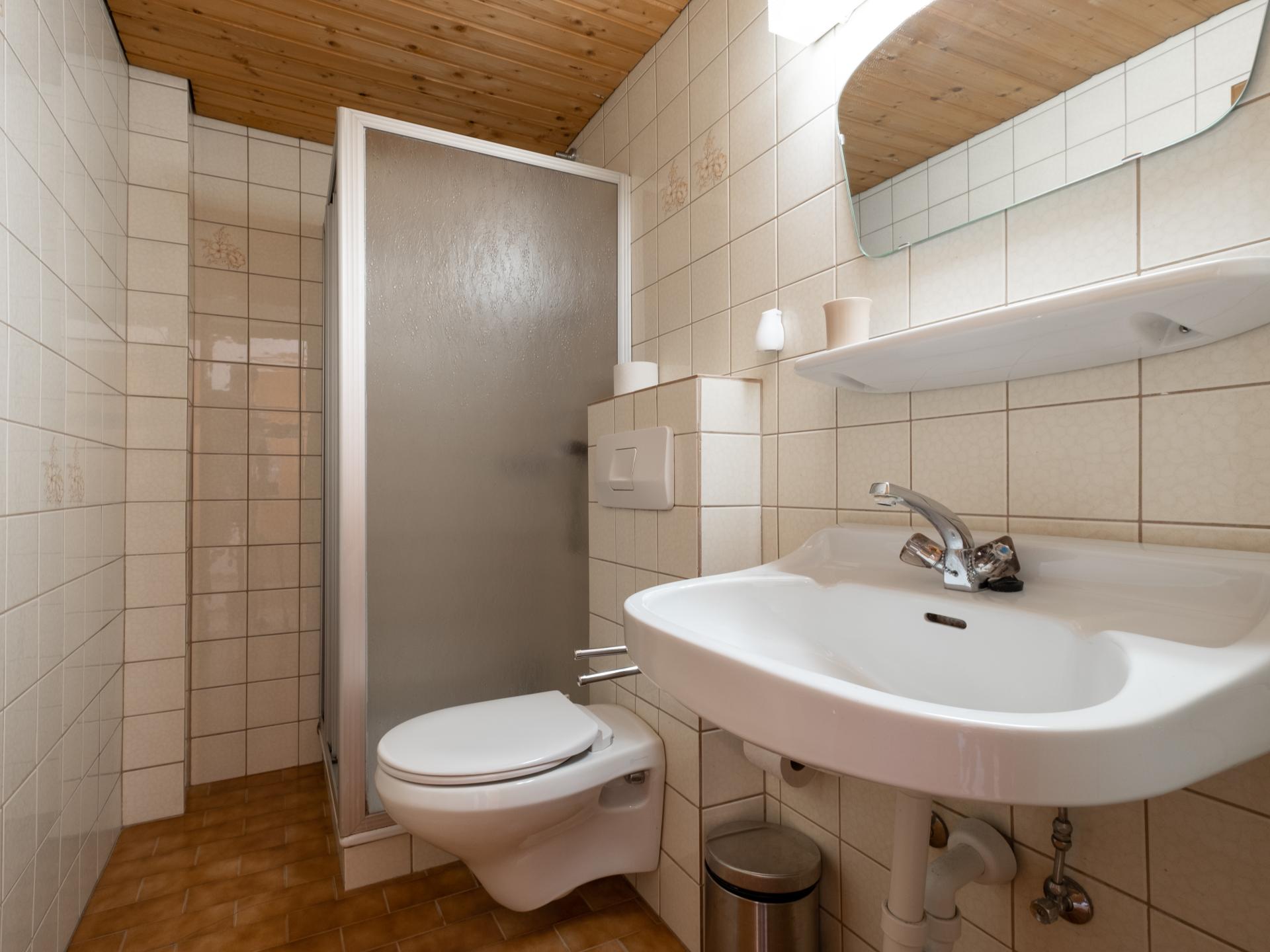 Groepsappartement voor 24 personen aan de bosrand bij het skigebied - foto 13