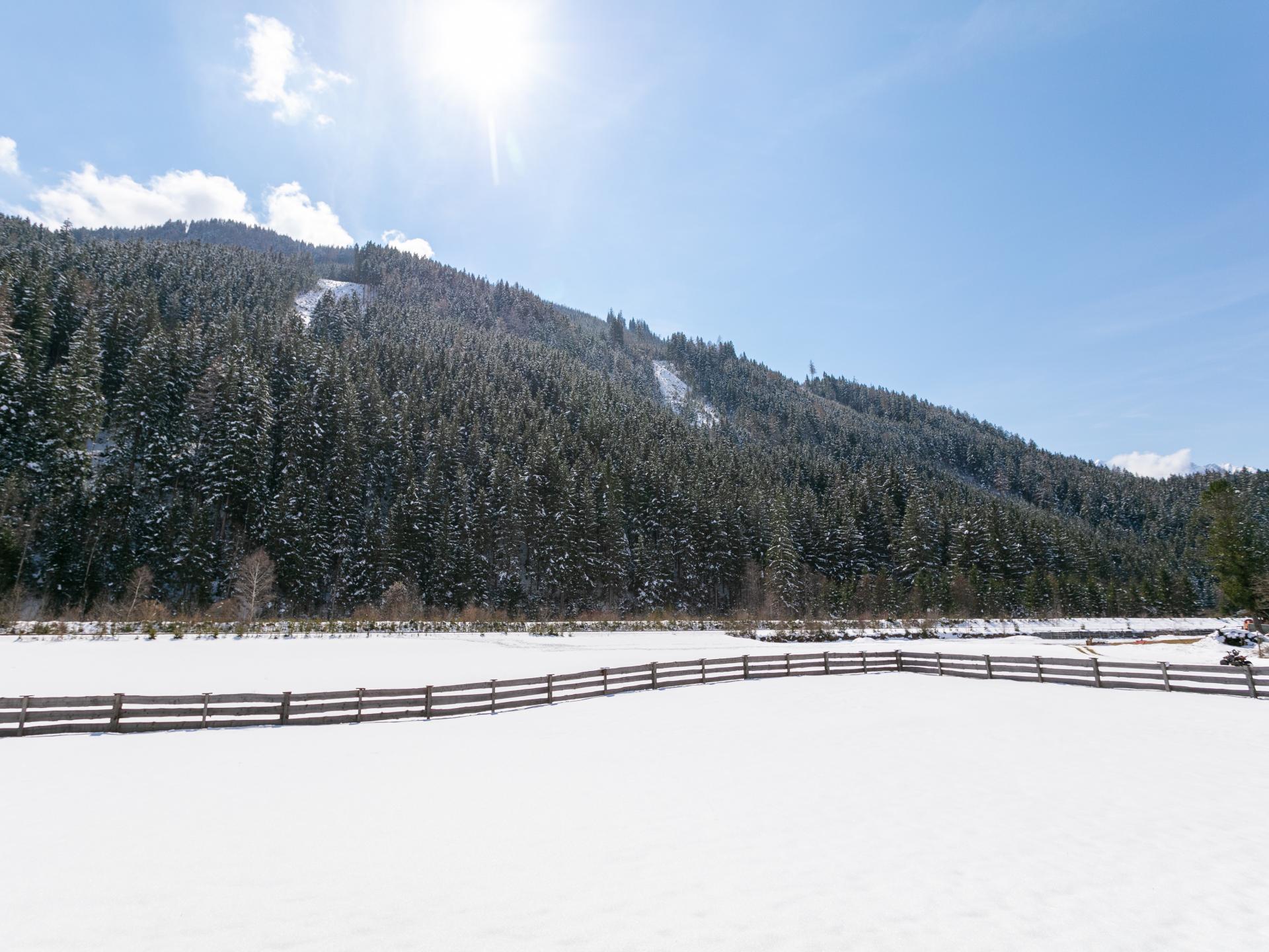 Vrijstaand luxe chalet met sauna in Wald im Pinzgau - foto 31