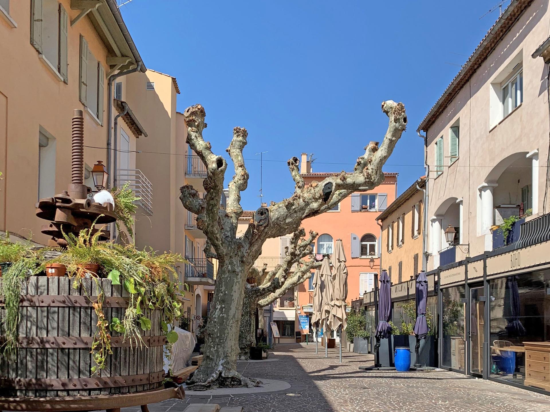 Vrijstaand vakantiehuis met privézwembad nabij Sainte Maxime en de Côte d'Azur - foto 41