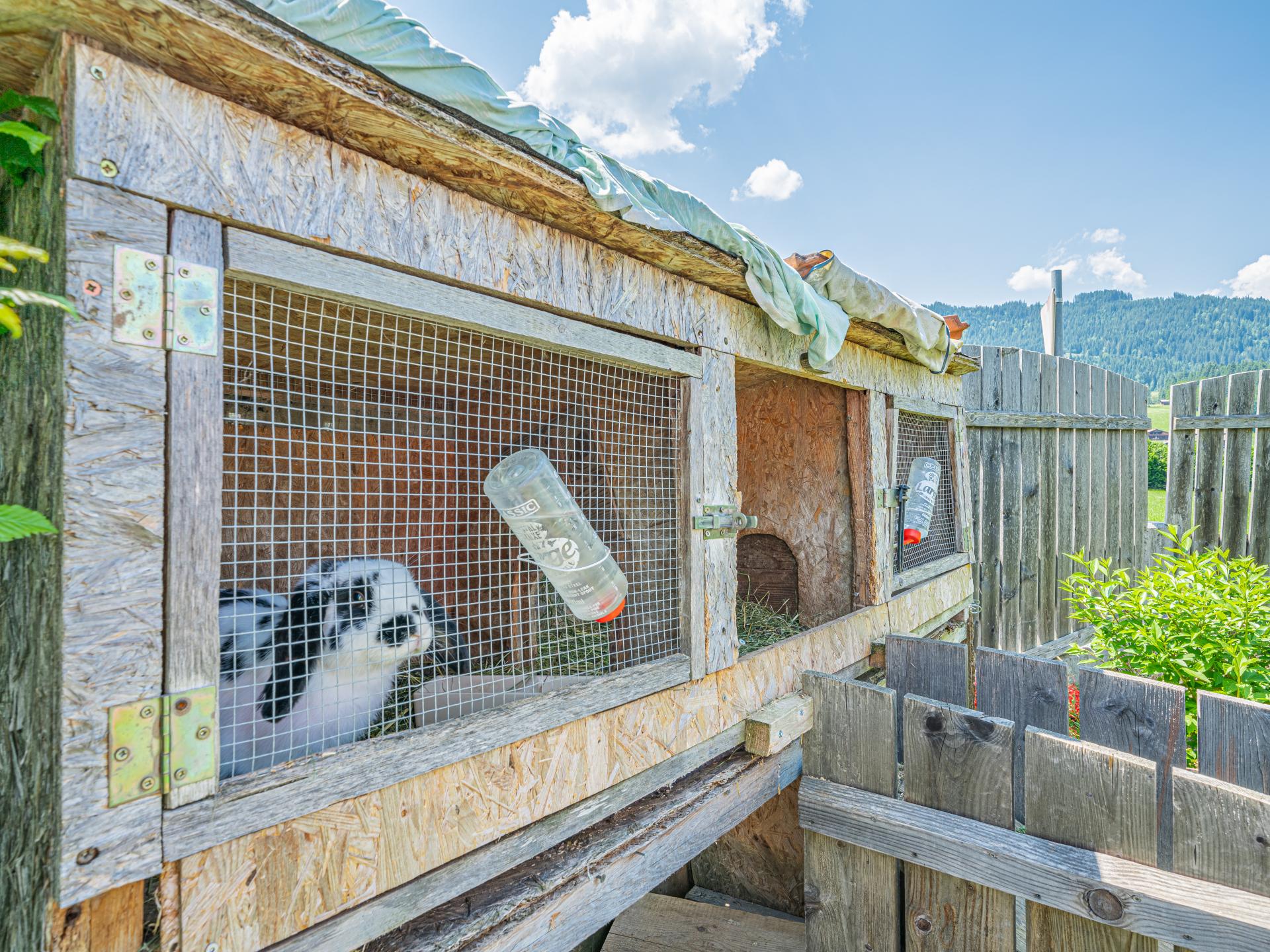 4-persoons appartement met tuin in Hopfgarten im Brixental - foto 5