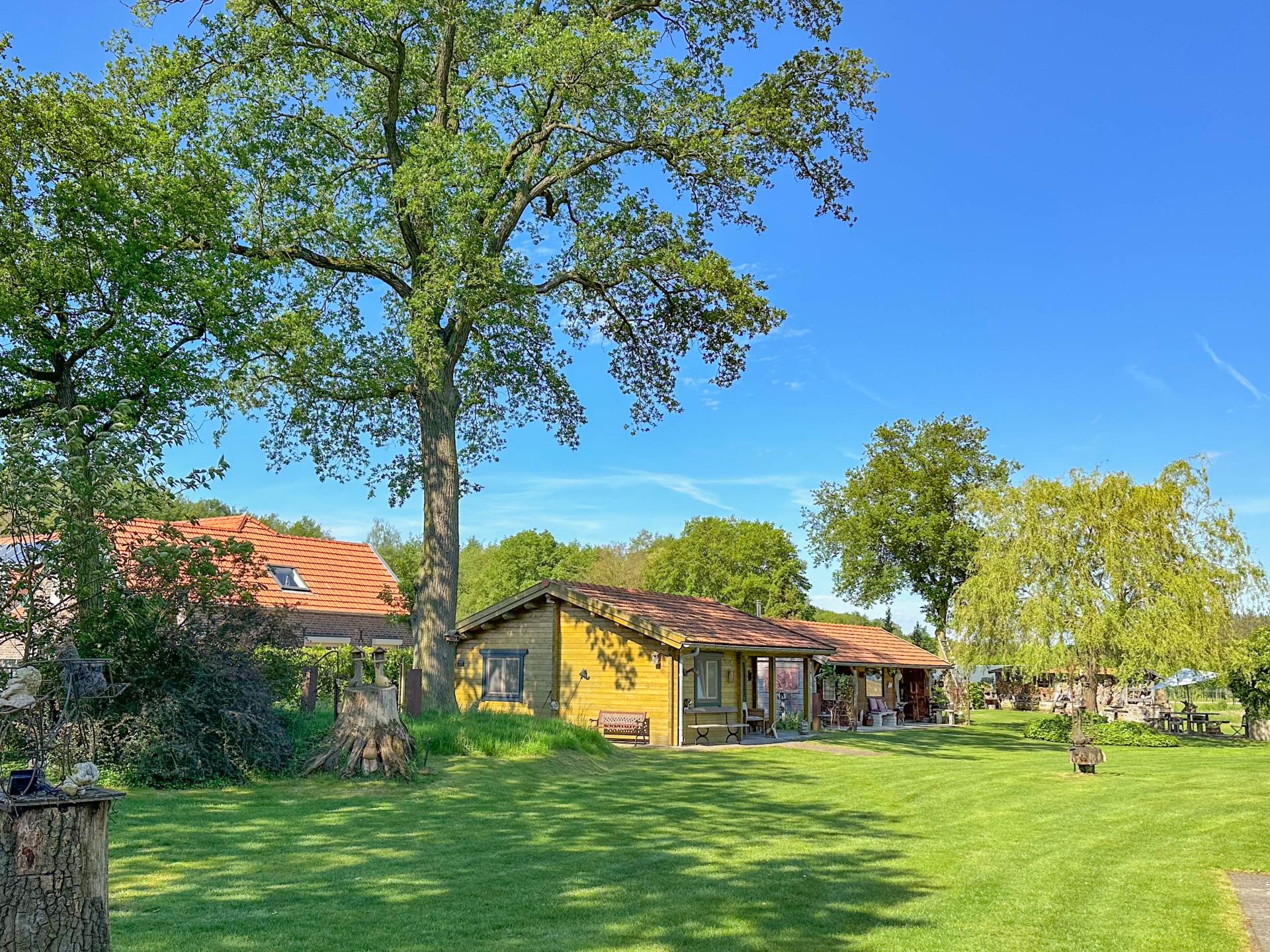 Onder de Oude Eik: Romantisch houten huisje vol kunst in Lottum - foto 31