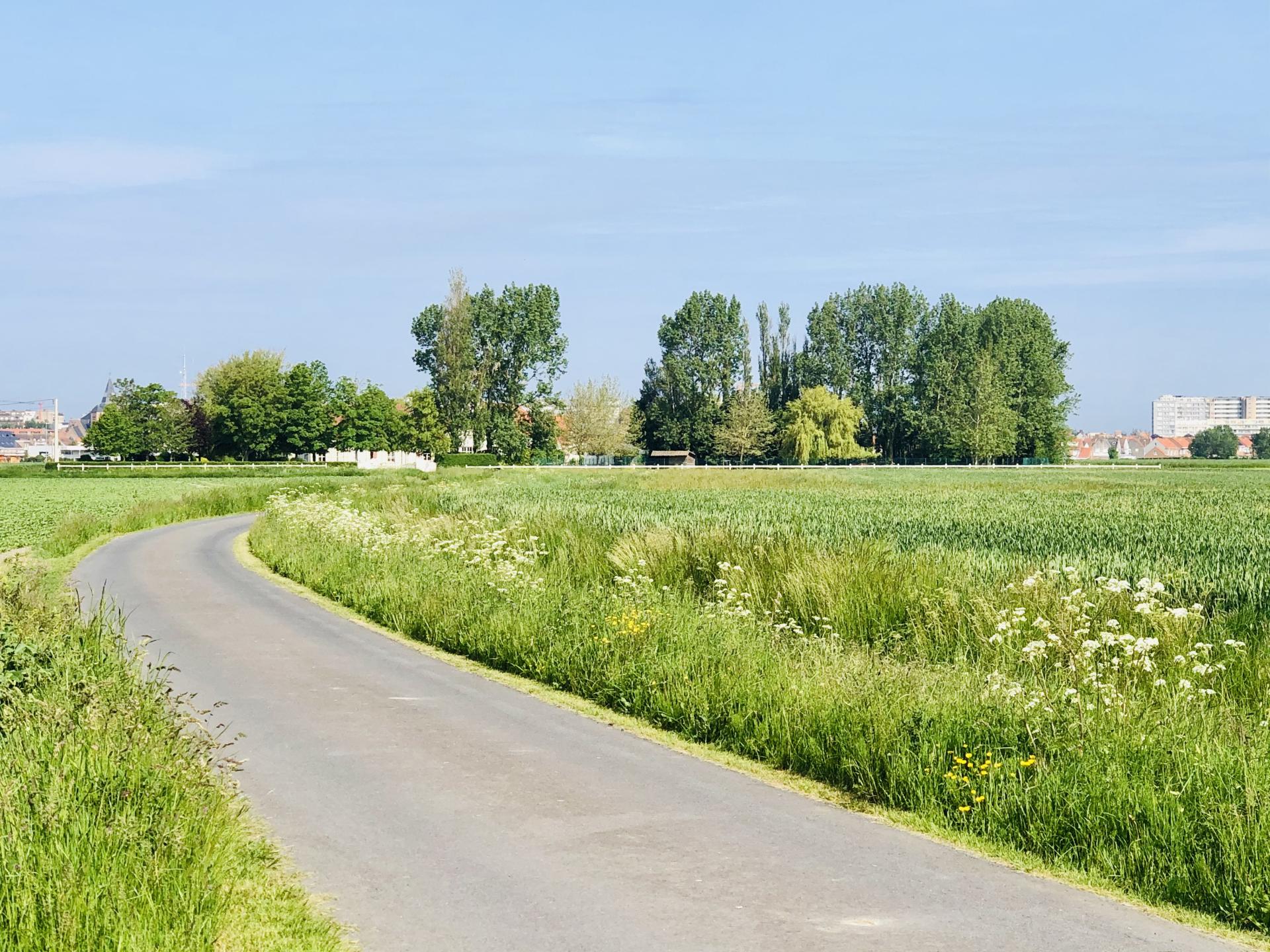 7-persoons vrijstaand vakantiehuis nabij centrum Middelkerke - foto 24