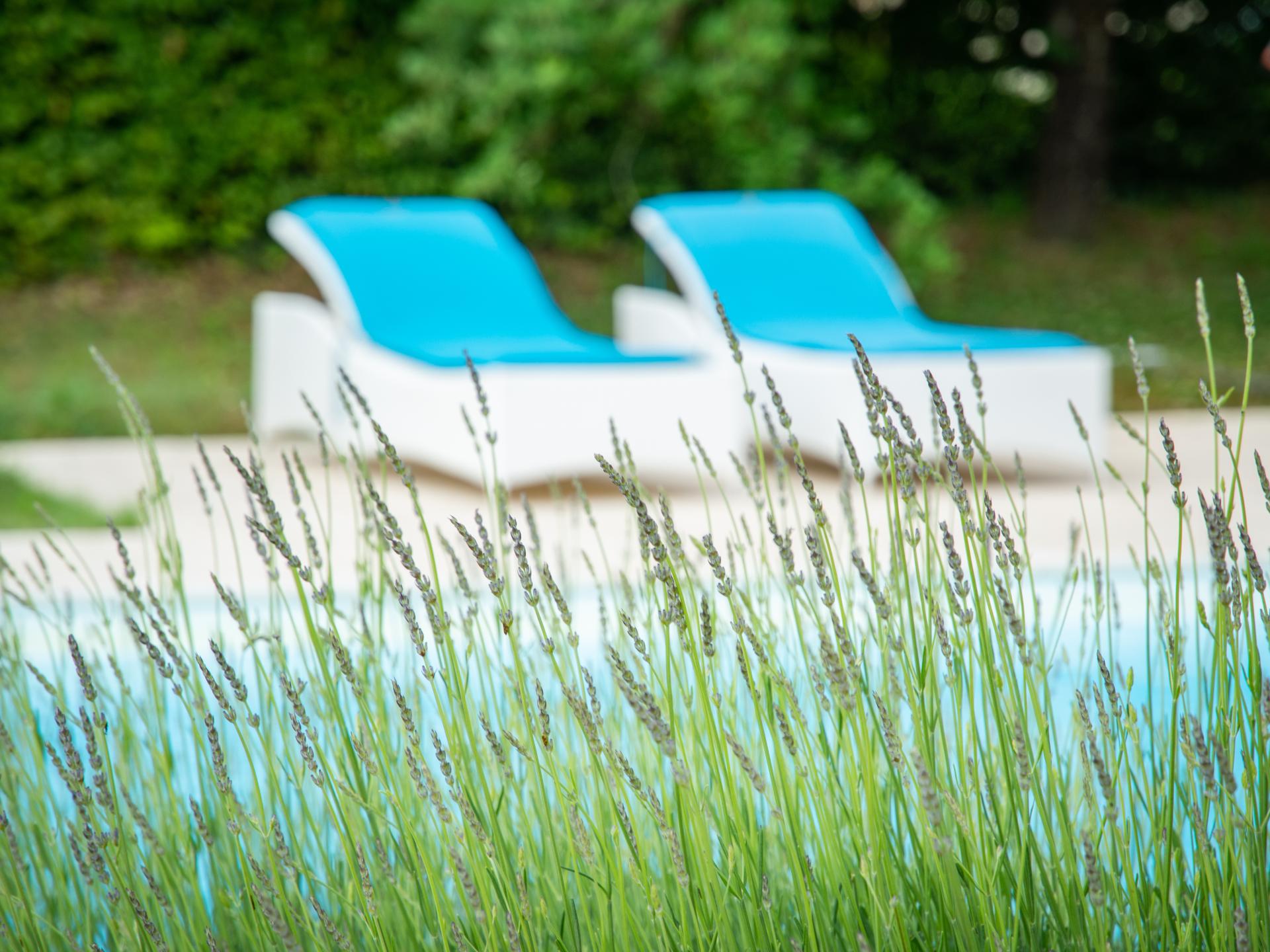 Vrijstaand vakantiehuis met privézwembad in Montaigu de Quercy - foto 39