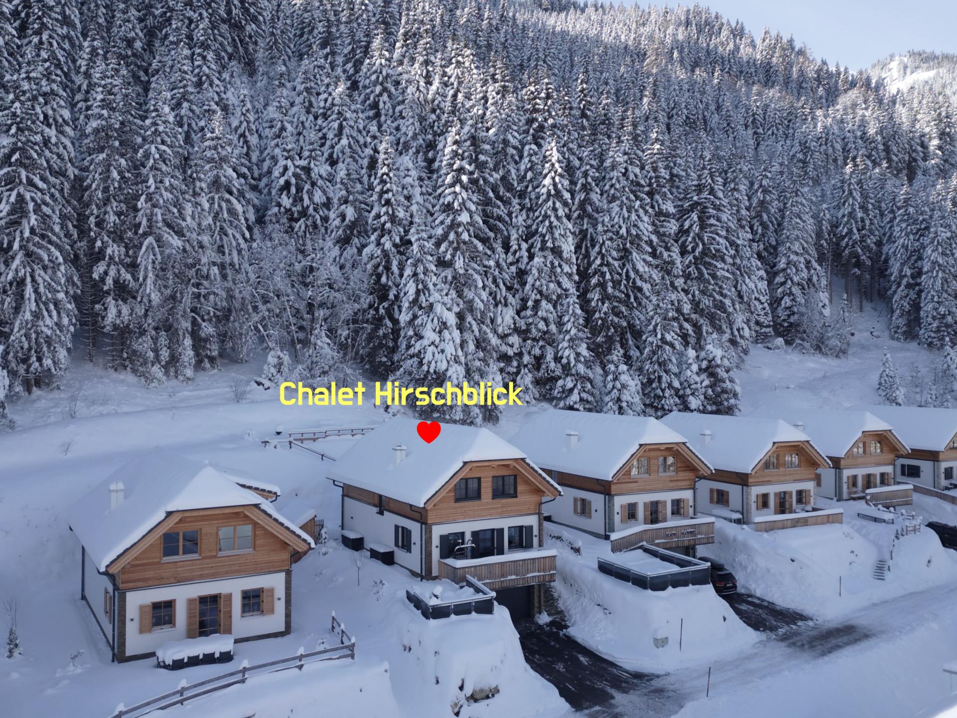 Luxe chalet met hottub en sauna, 50m van de skipiste in Steiermark - foto 61