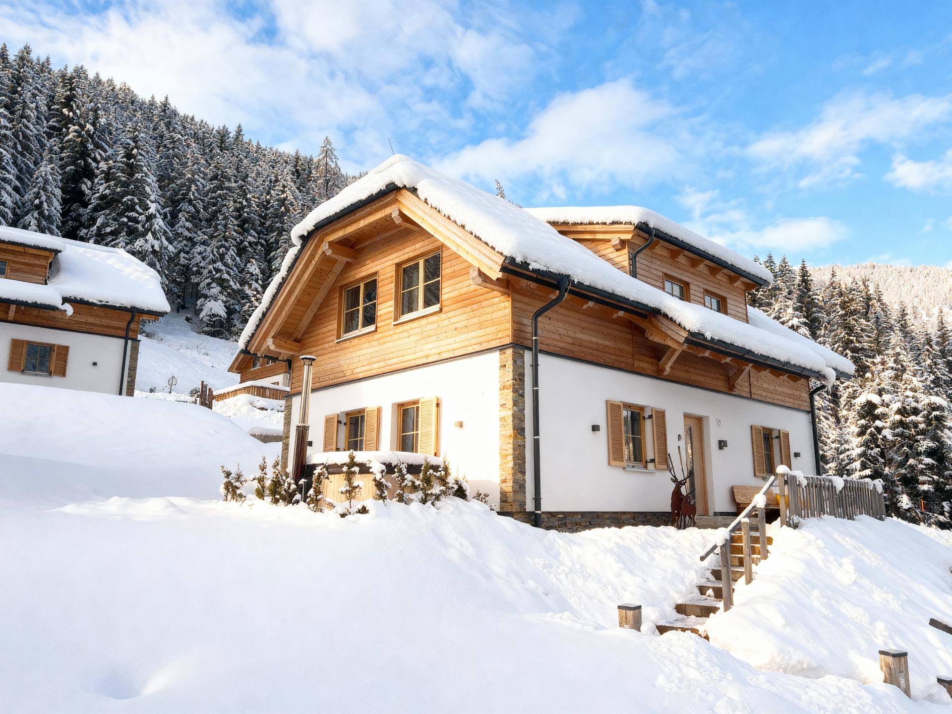 Vrijstaand chalet met sauna en hottub direct aan de piste in Donnersbachwald - foto 49