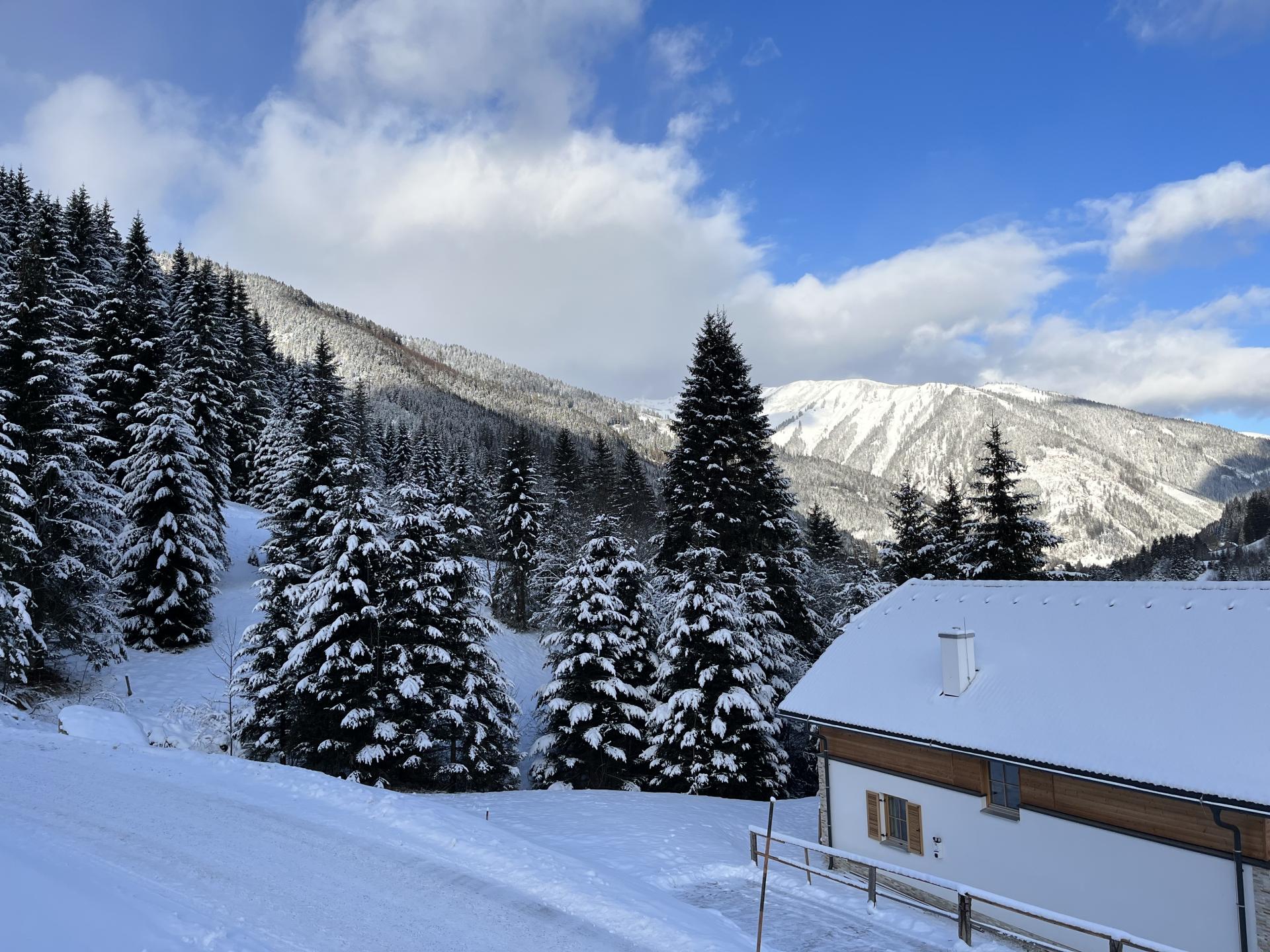 Vrijstaand chalet met sauna en hottub direct aan de piste in Donnersbachwald - foto 47
