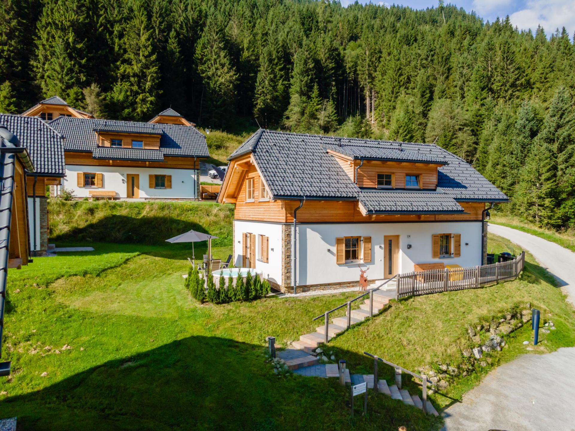 Vrijstaand chalet met sauna en hottub direct aan de piste in Donnersbachwald - foto 43